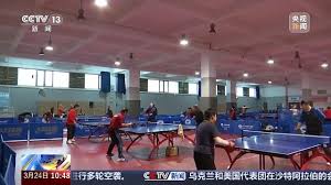 2026年国际足联世界杯 乒乓球台直拍